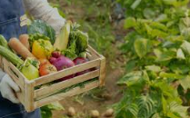 농산물품질관리사 자격증 완벽 가이드