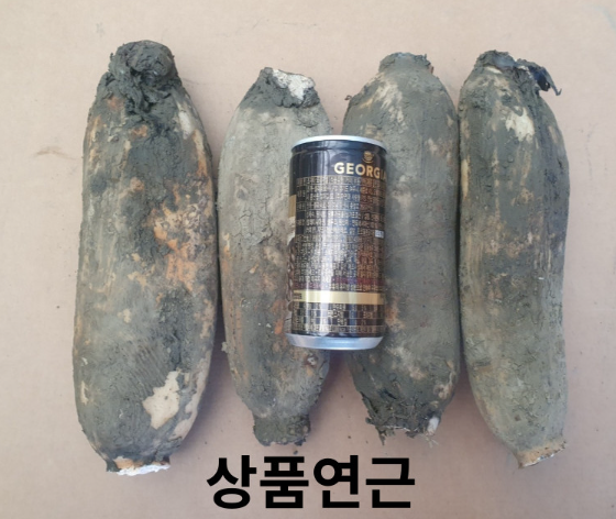 서가네- 흙사랑경산연근