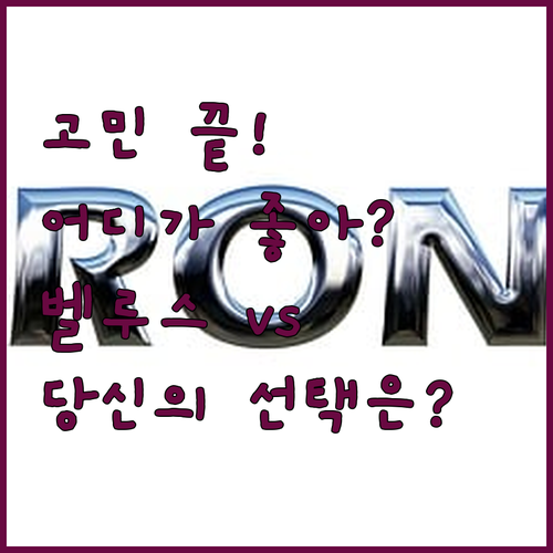 서울 동대문 호텔 고민 끝! 벨루스 ..