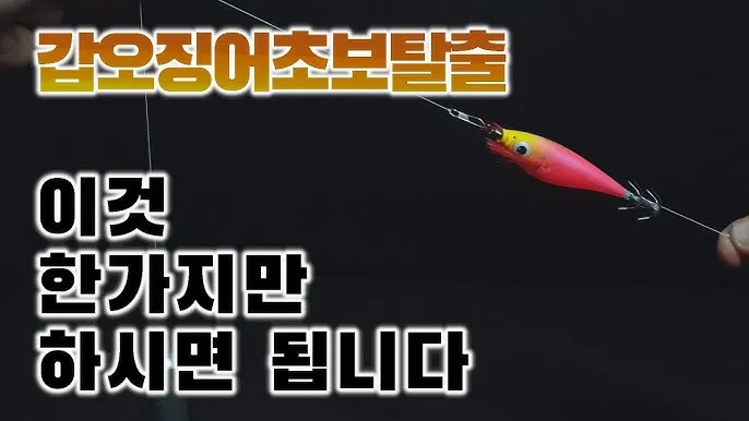 낚시 입질 파악 감도 좋은 채비 바늘 크기 조정 방법_4