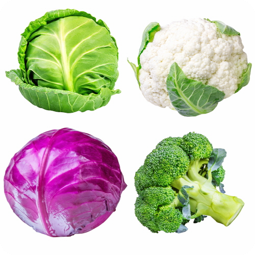 브로콜리-씻는방법