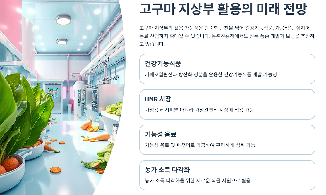 고구마 지상부 활용의 미래 전망