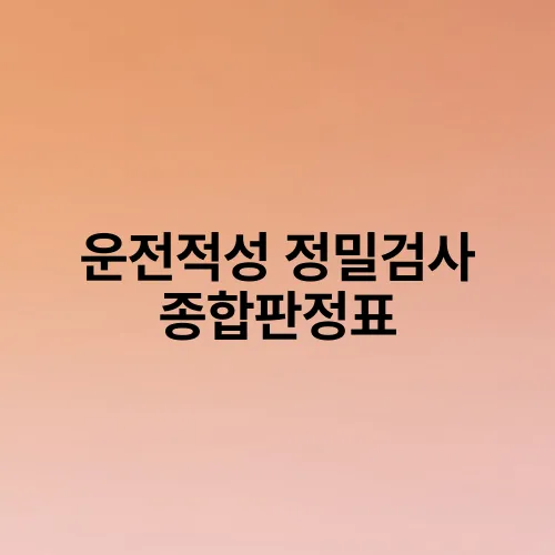 운전적성 정밀검사 종합판정표
