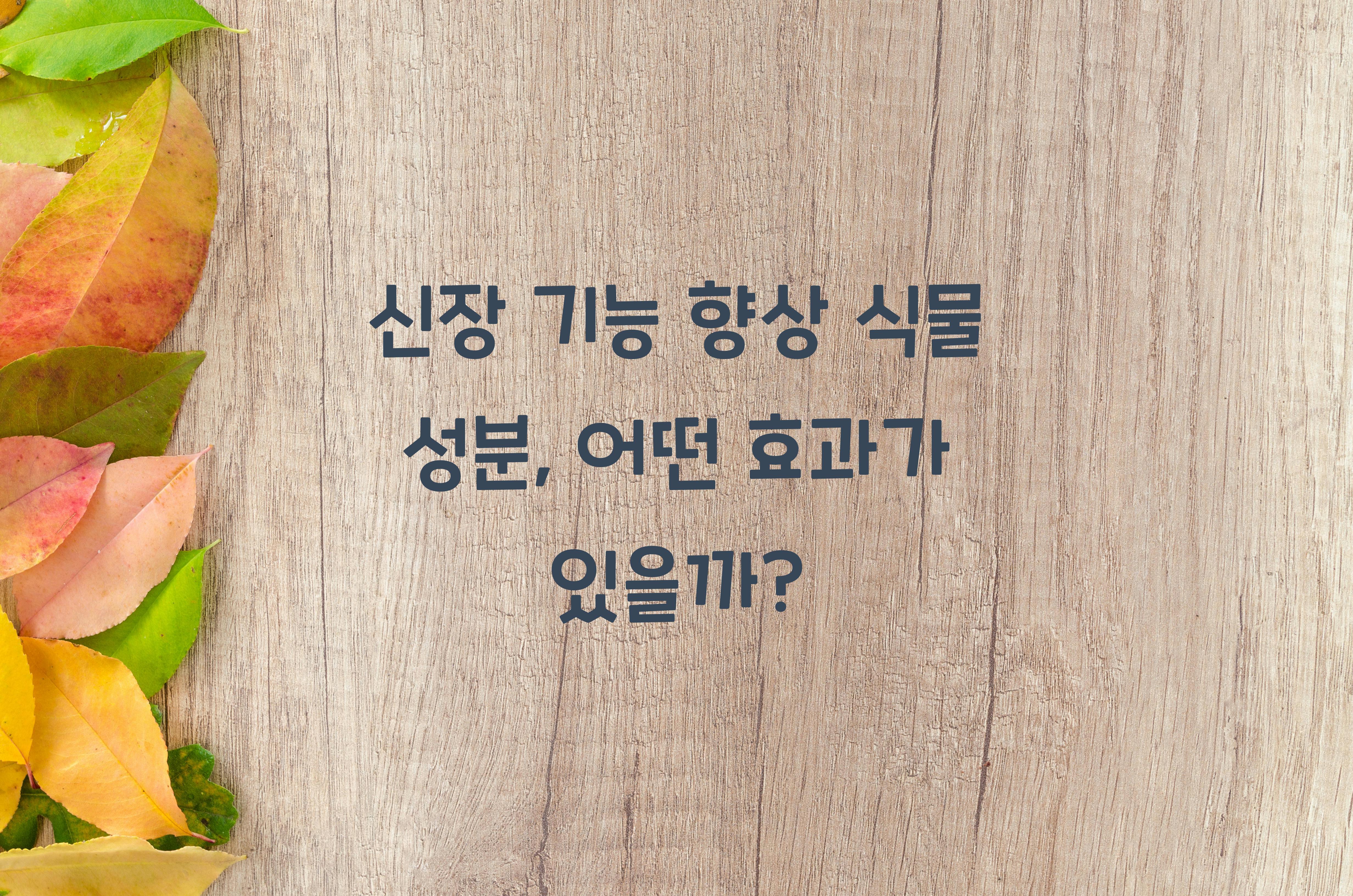 신장 기능 향상 식물 성분