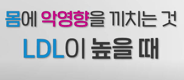 고지혈증 검사 비용