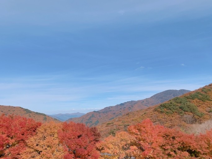 지리산 단풍시기