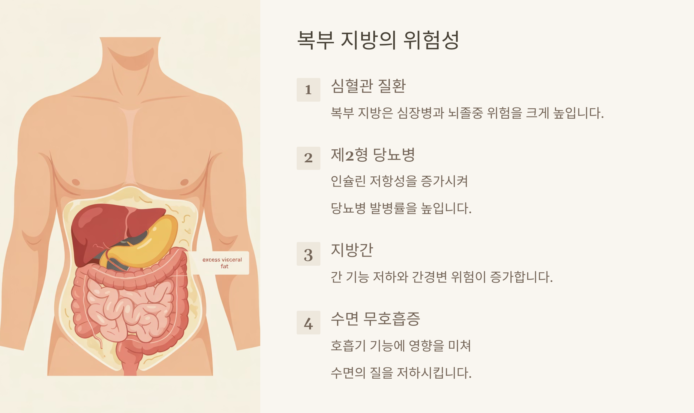 복부 지방 줄이는 꿀팁