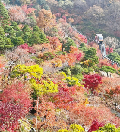 2024화담숲 가을단풍축제