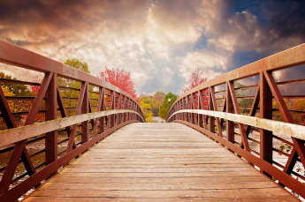 보건증 검사항목 쉽게 정리 6