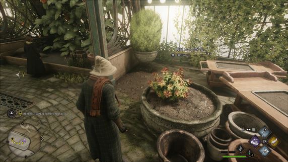 향이-나는-아욱