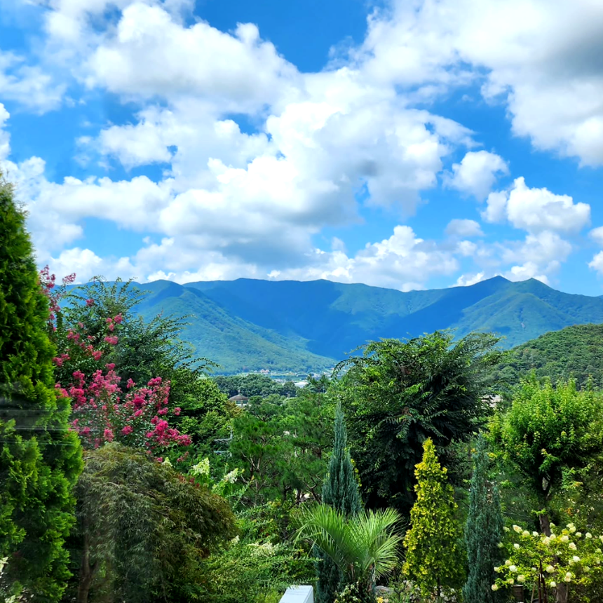 특색있고 아름다운 민간 정원 30선 추천 여행 - 29. 울주 온실리움