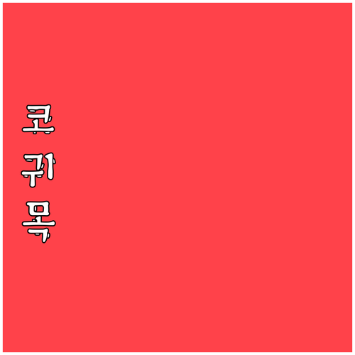 수술 후 관리법까지 이비인후과 질환 