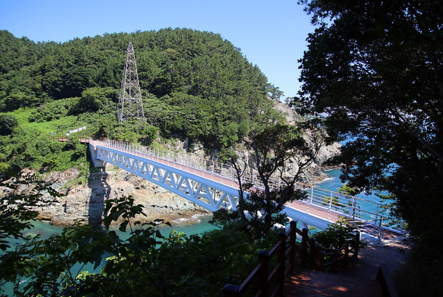 수국도 보고 힐링도 하는 통영 연화도 백패킹 완전 가이드