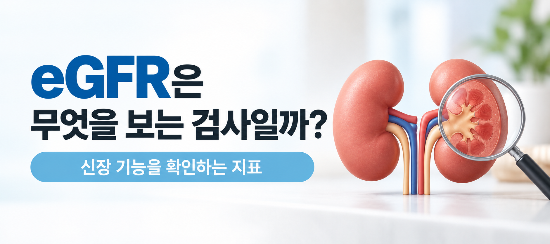 eGFR 신장 기능 검사와 사구체여과율 설명 이미지