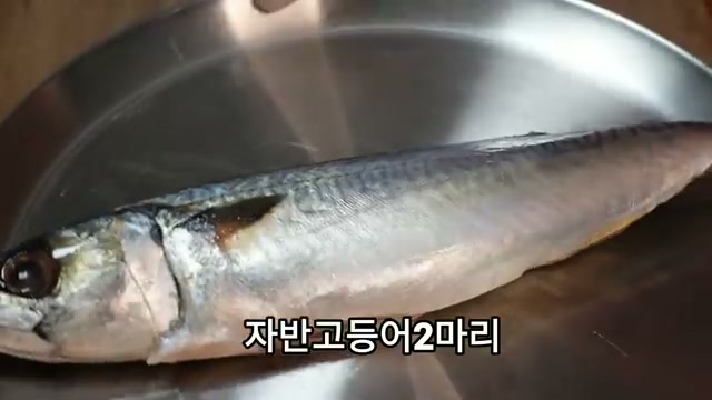 손질 전 자반고등어 2마리