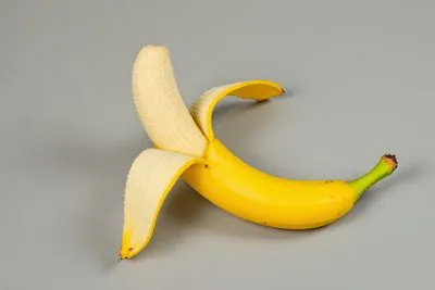 강아지에게 안전한 과일 🍎