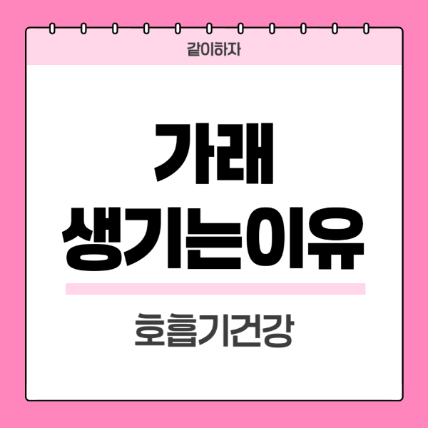 가래생기는이유