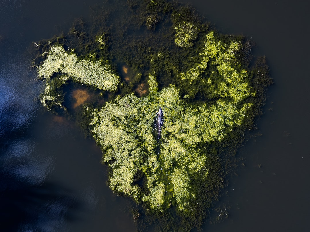 Geospatial