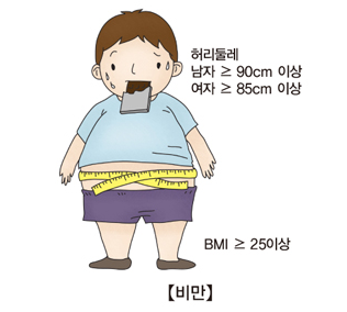 비만 완전 정복