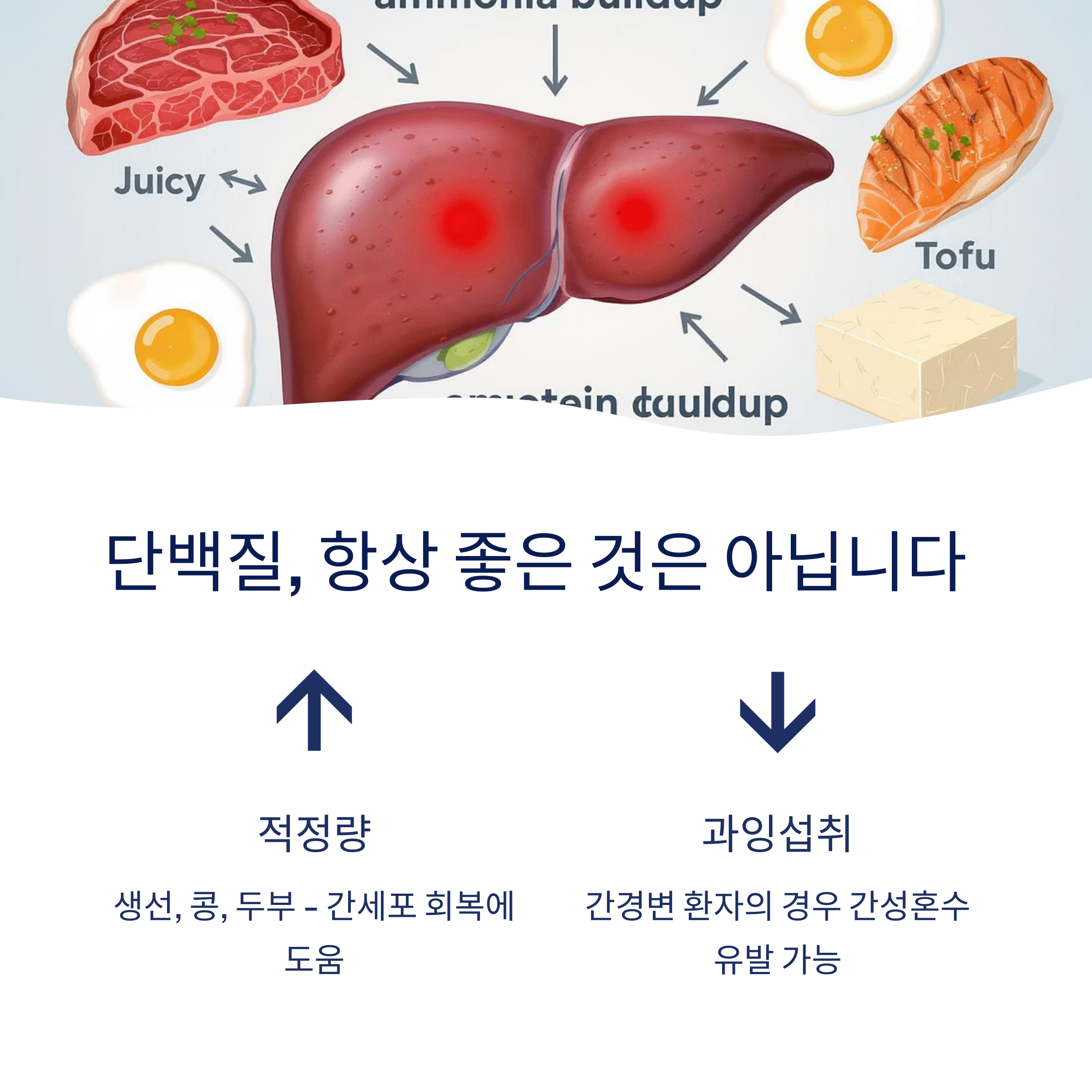 단백질 섭취 간질환자 주의