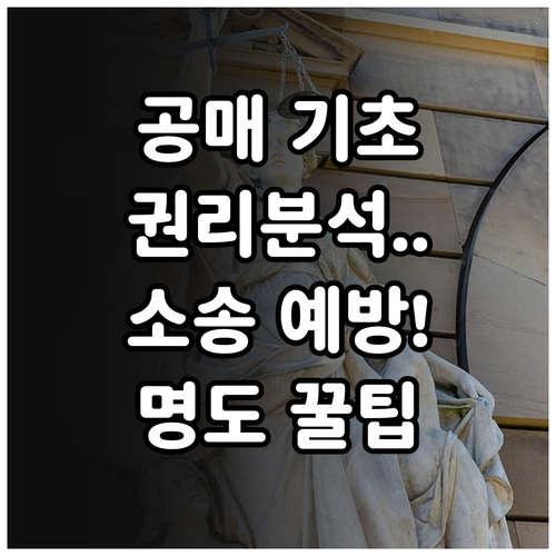 공매 권리분석 기초와 명도 책임 소송..