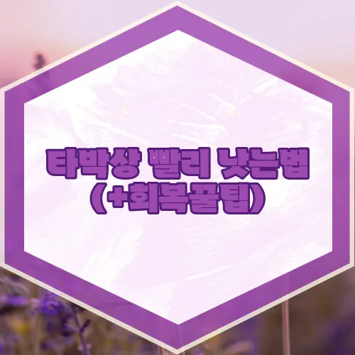 타박상 빨리 낫는법 (+회복꿀팁)