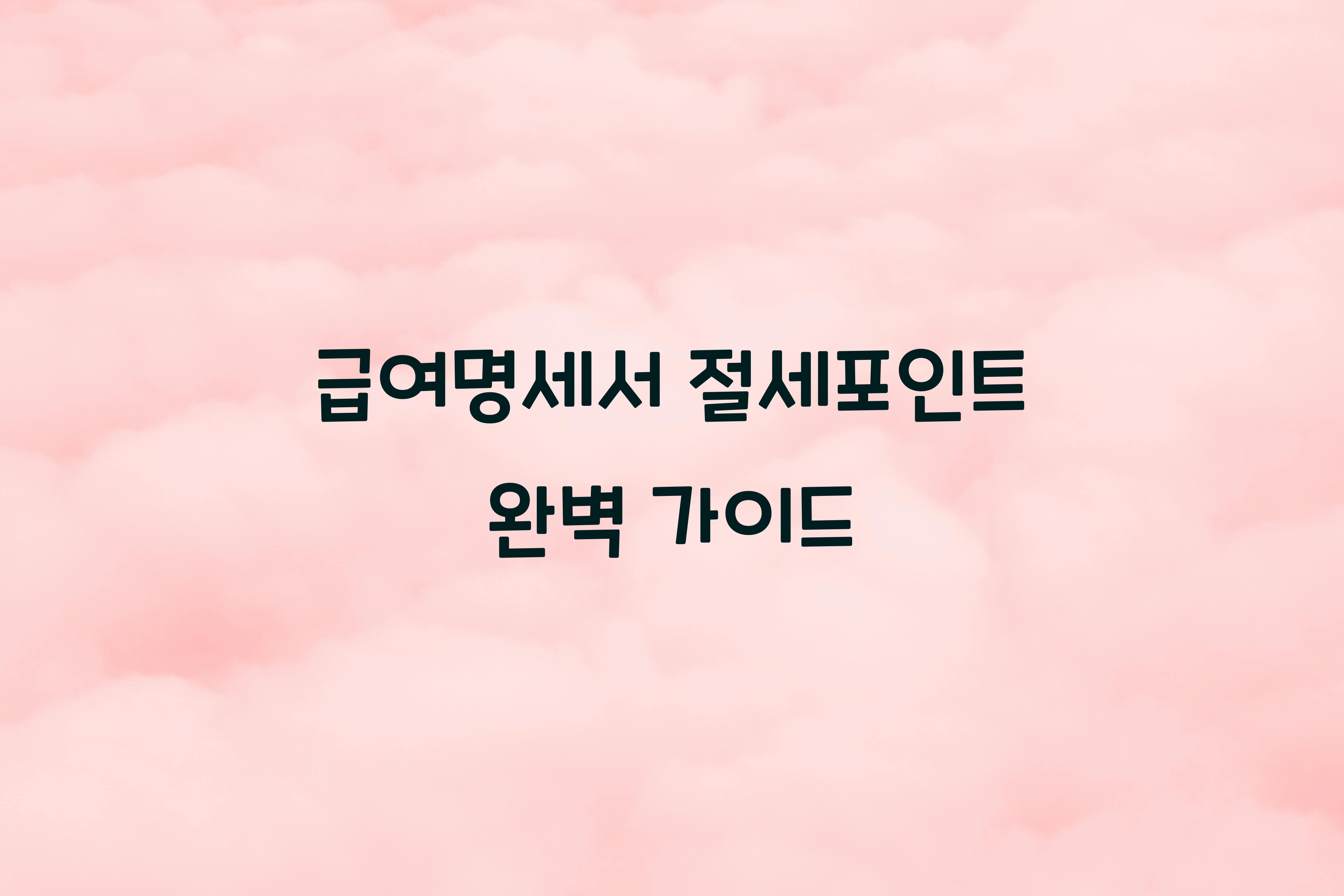 급여명세서 절세포인트