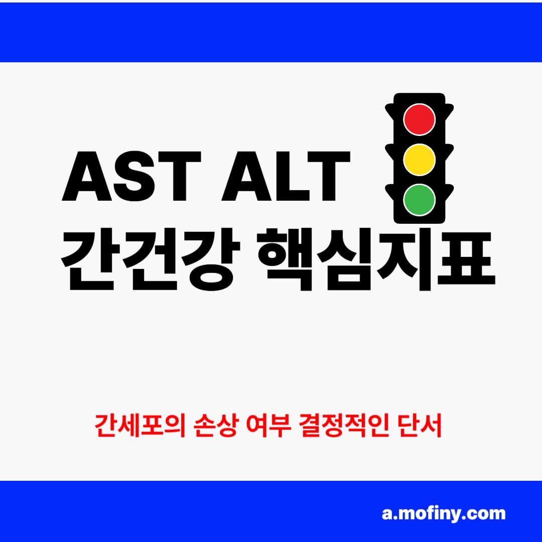 AST ALT 차이