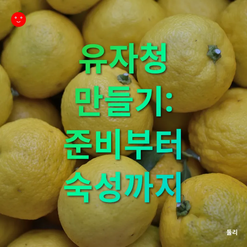 남해 유자_1
