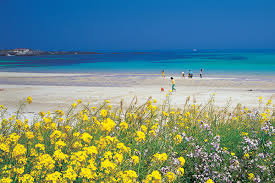 제주도 동쪽 우도