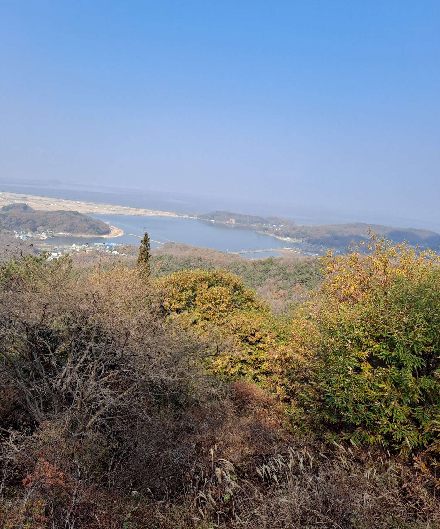 교동 고구지가 보여요