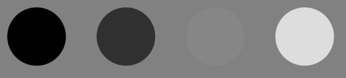 무에코,-어두운-에코,-등에코,-밝은-에코