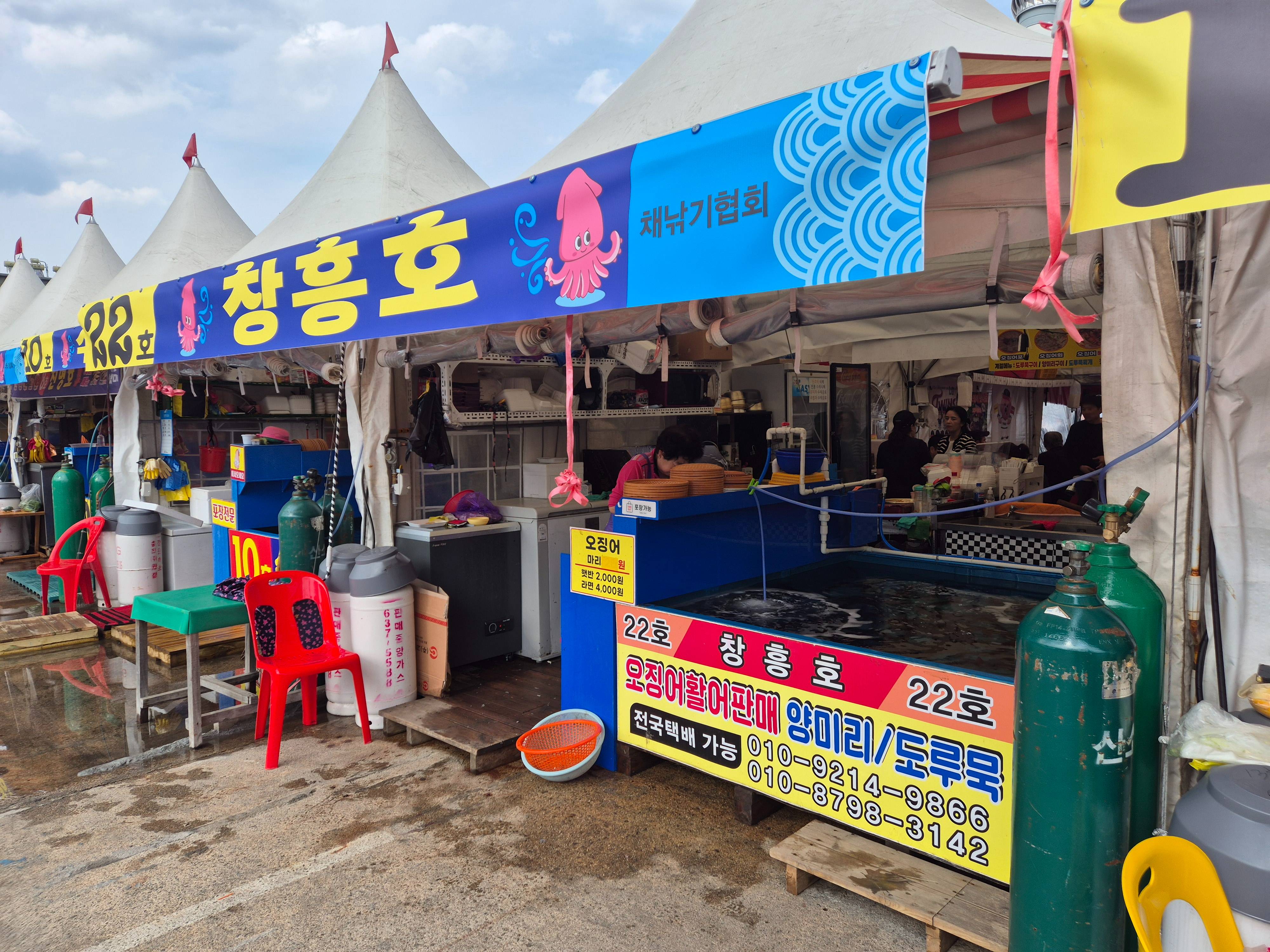 2025 5월 속초 오징어 난전 오픈