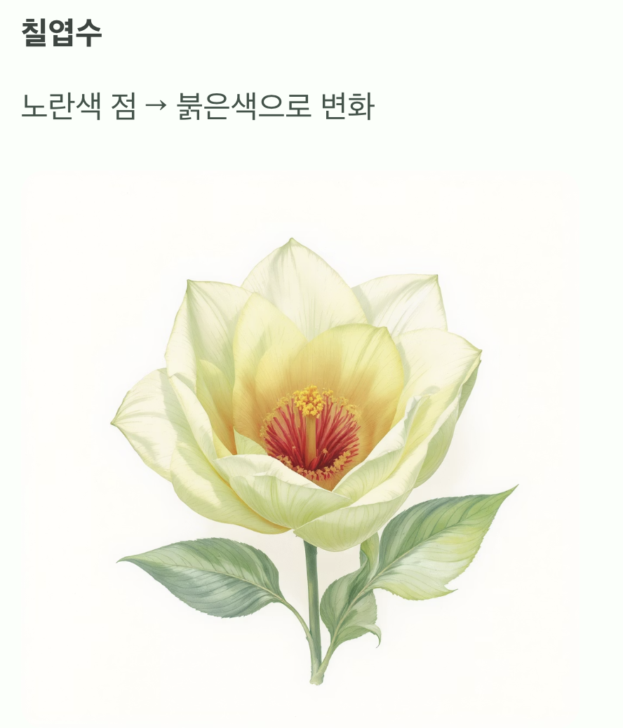 첫 번째, 꽃의 중심을 주목하세요