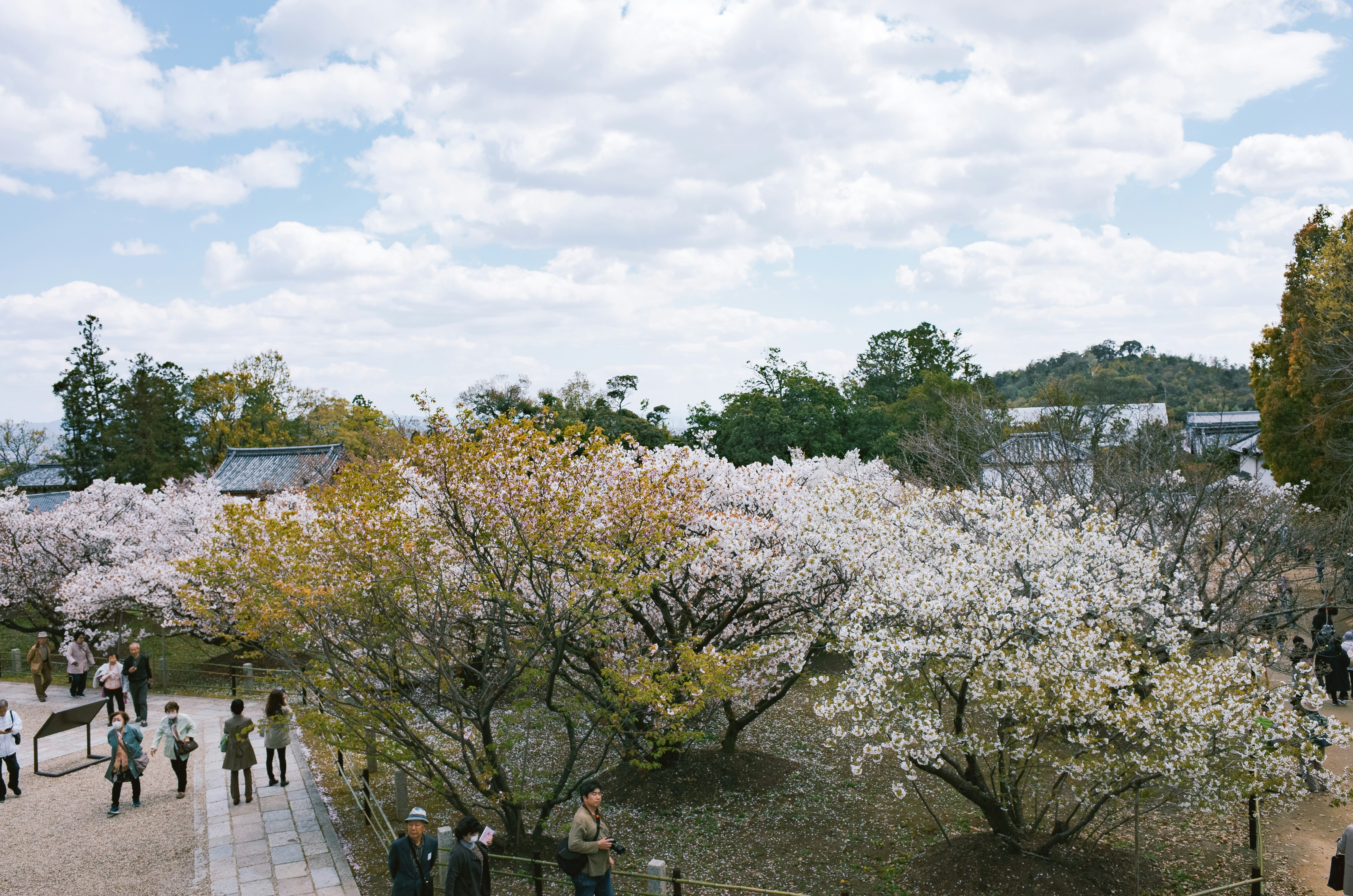 따뜻한 햇살이 비치는 봄 공원 풍경 관련 사진