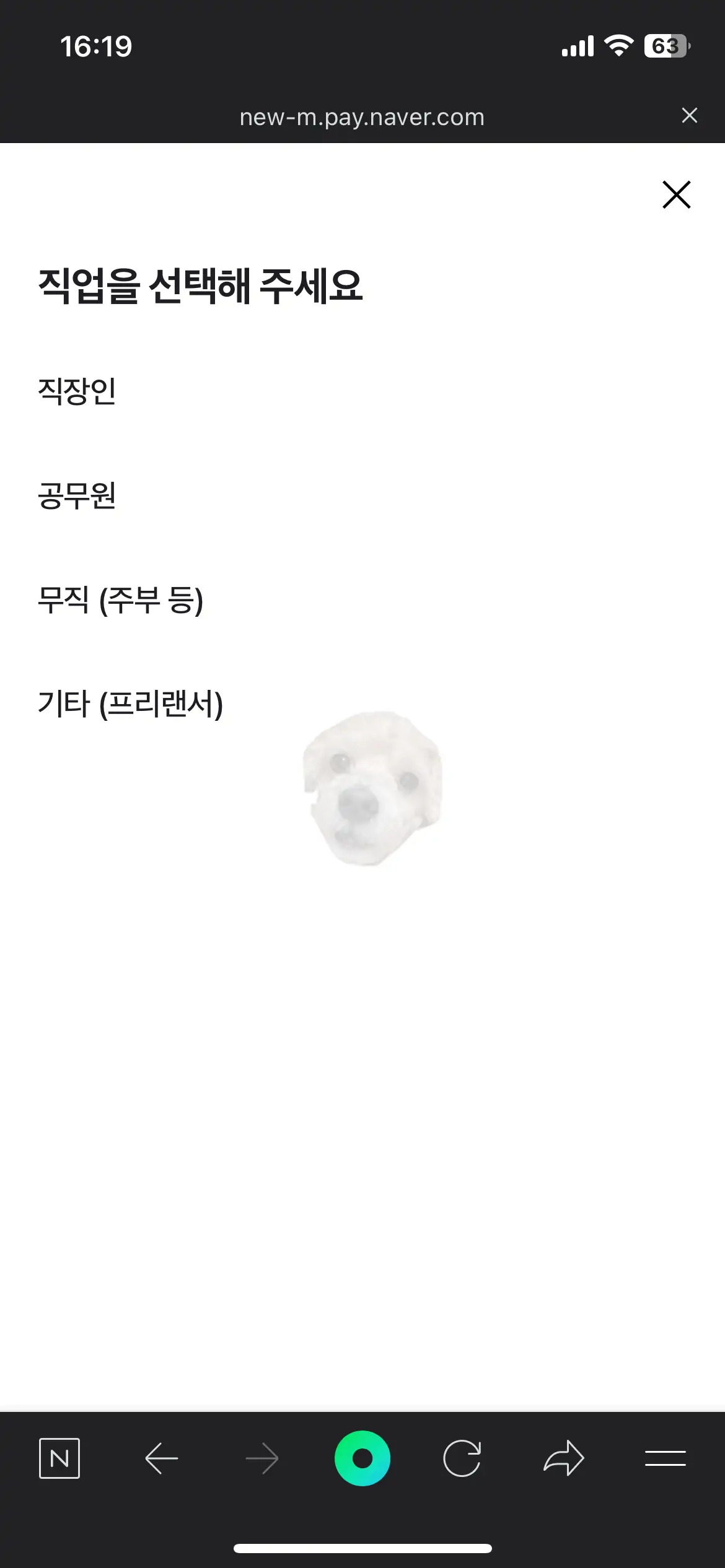 직업 입력 사진