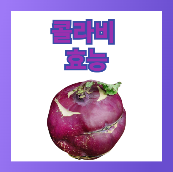 콜라비 효능