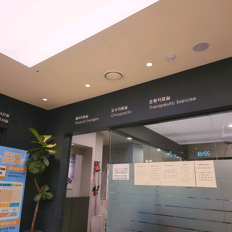 기흥구 상갈동 정형외과 유명하고 잘하는 곳 추천 TOP 5