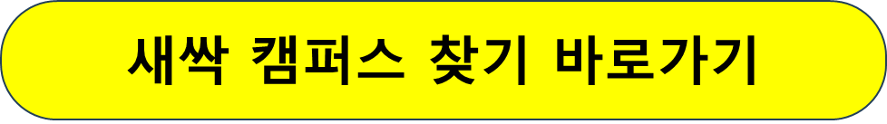 청년취업사관학교 내용 신청 선발