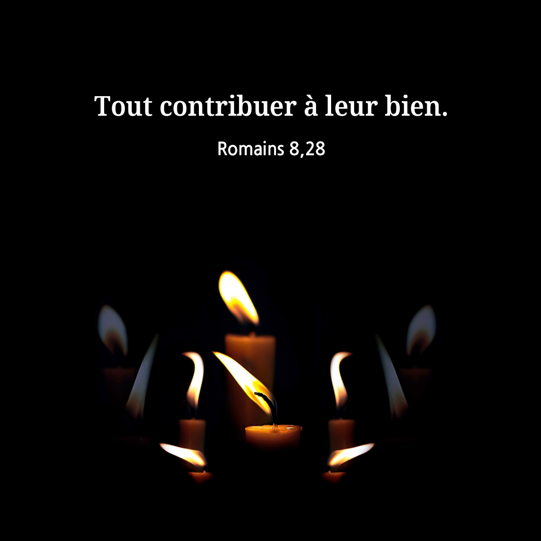 Tout contribuer &agrave; leur bien. (Romains 8,28)