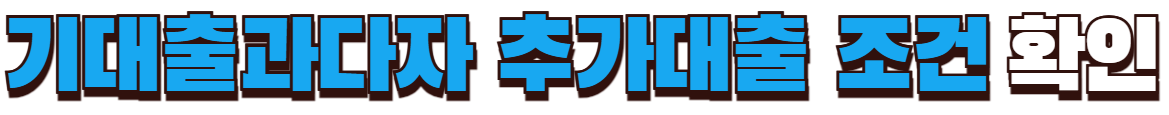 기대출과다자 추가대출 조건 확인