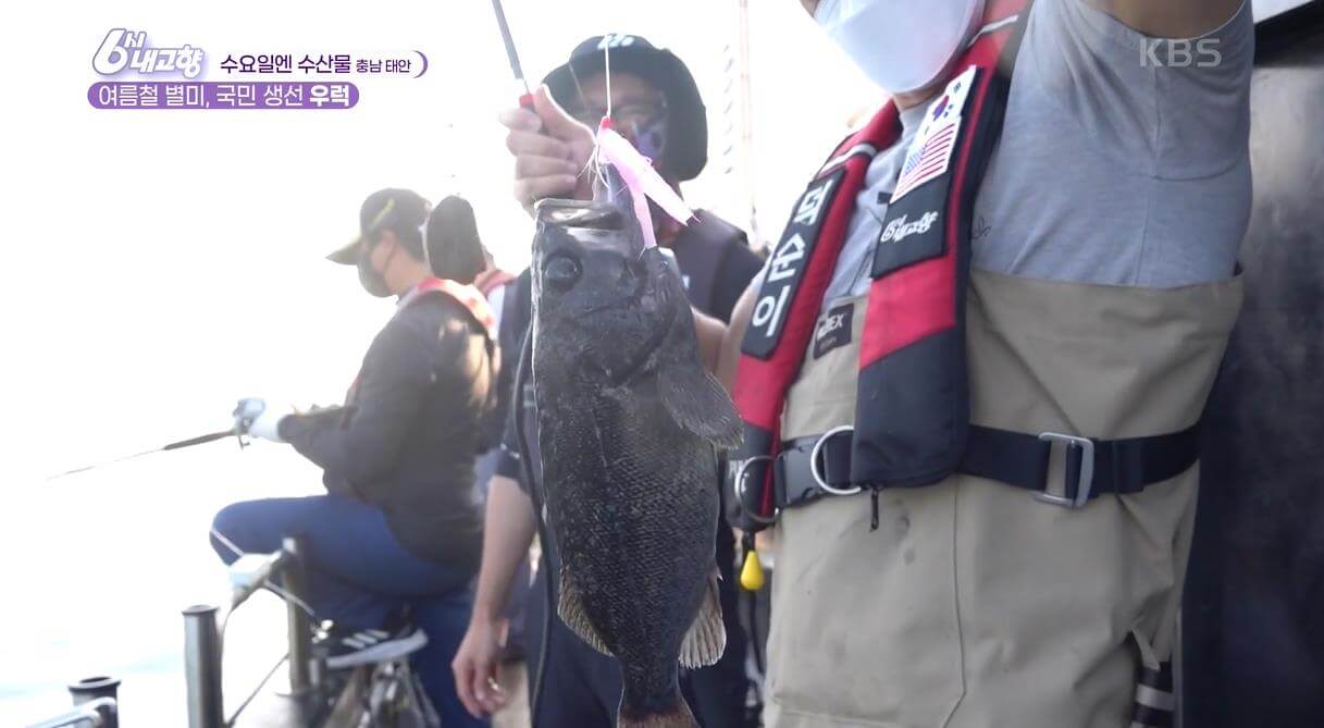 6시내고향-태안-우럭낚시