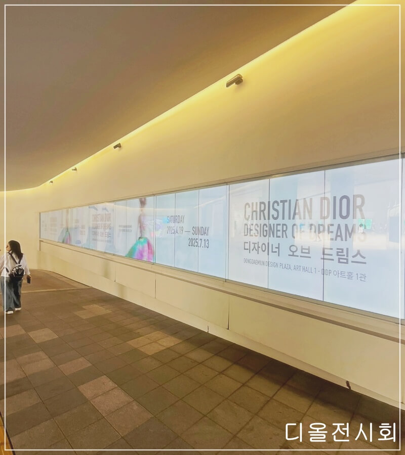 동대문 디자인 전시