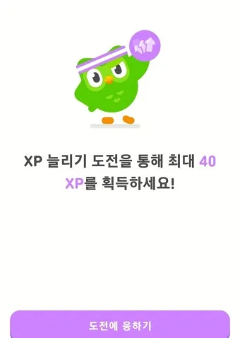 듀오링고 영어 공부 아이콘 표정 변경 방법_23