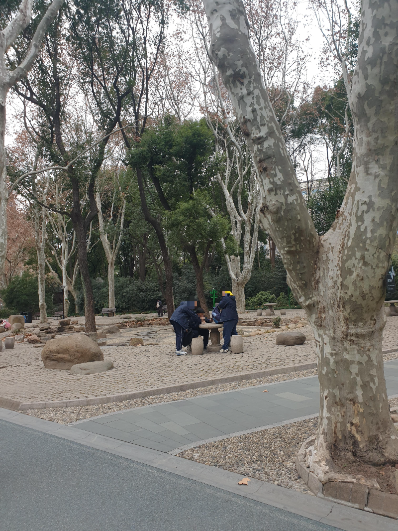 친구끼리 놀러온 인민공원. 나무들이 크다.