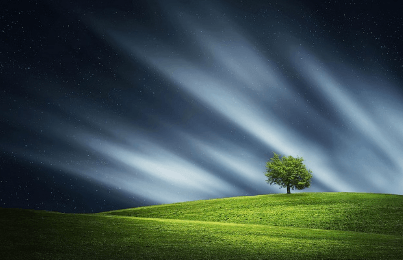 2025년 을사년 운세 꿈해몽 무료 상담 받기