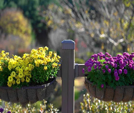 용인농촌테마파크