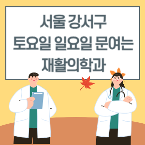 서울 강서구 토요일 일요일 재활의학과 진료 병원 리스트