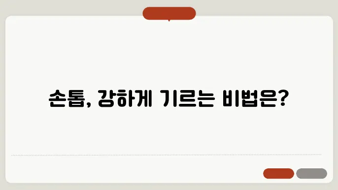 손톱 건강하게 기르는 법