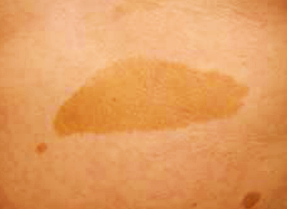 카페오레 반점 밀크반점 사진